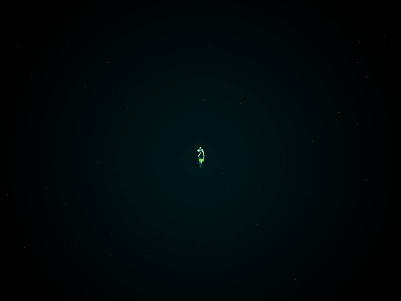 agent link